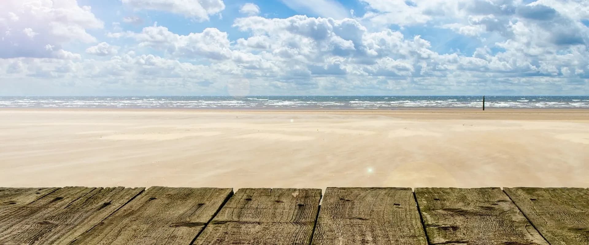 Sfeerbeeld van De Kraamvogel Castricum in Castricum