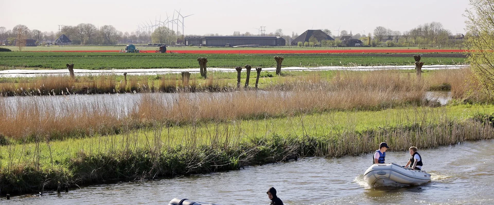 Sfeerbeeld van De Kraamvogel Hoorn in Hoorn