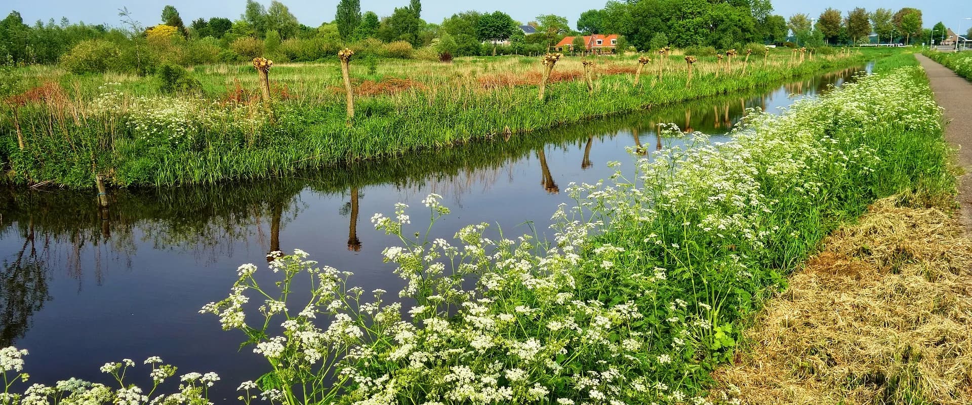 Sfeerbeeld van De Kraamvogel Beverwijk in Beverwijk